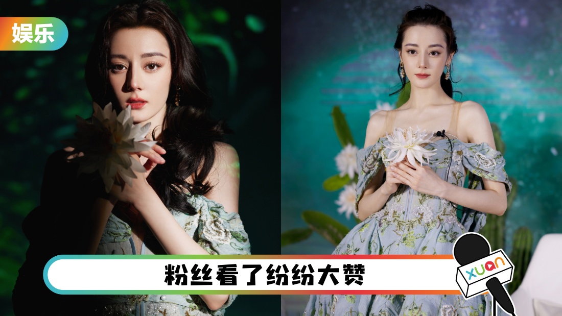 dilirebameixiong_cover.jpg