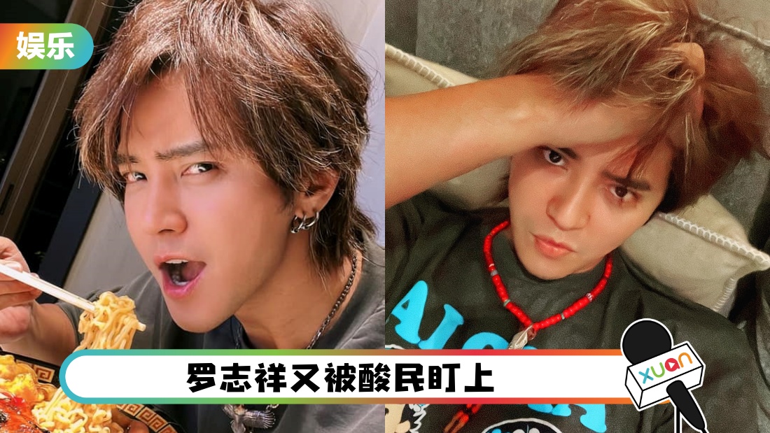 luozhixianghuidui_cover.jpg