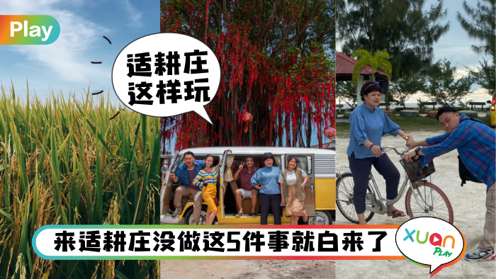 day-trip-sekinchan.png