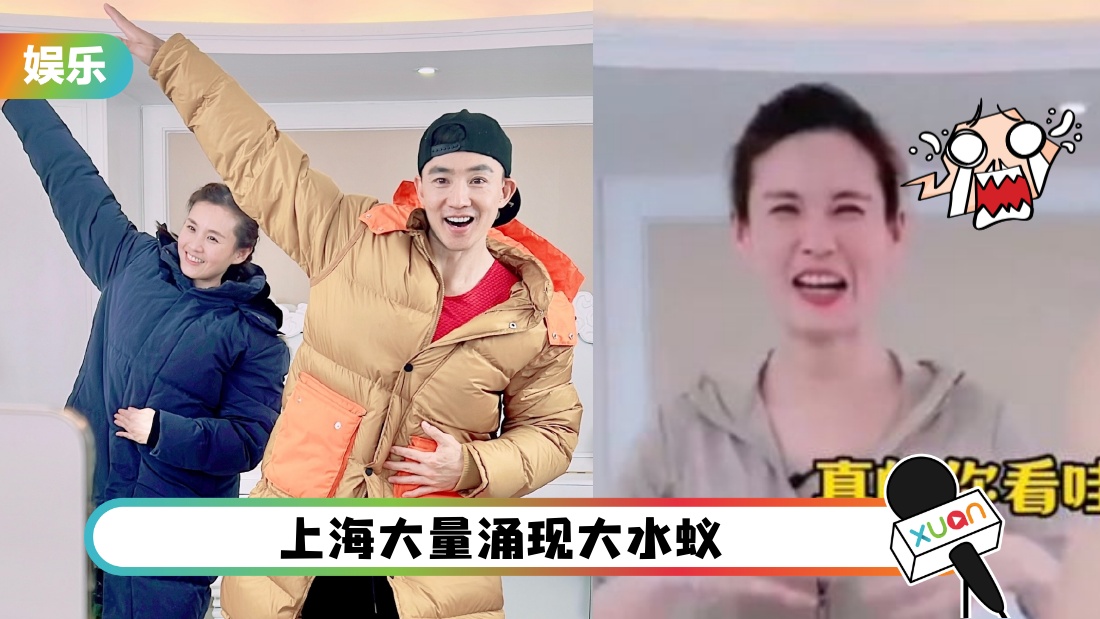 liugenghongdashuiyi_cover.jpg