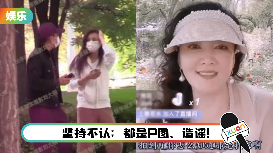 zhanglan-main.png