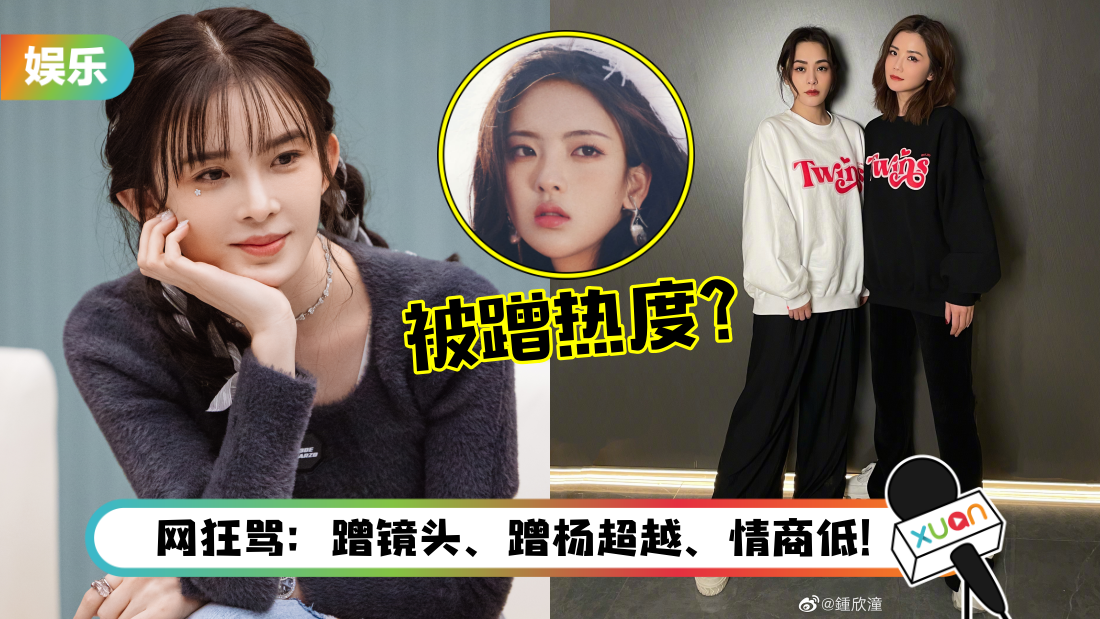 zhaoyinzi_title.png