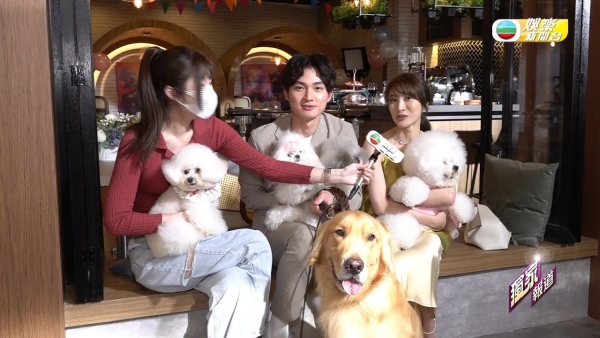 TVB《宠爱Pet Pet》