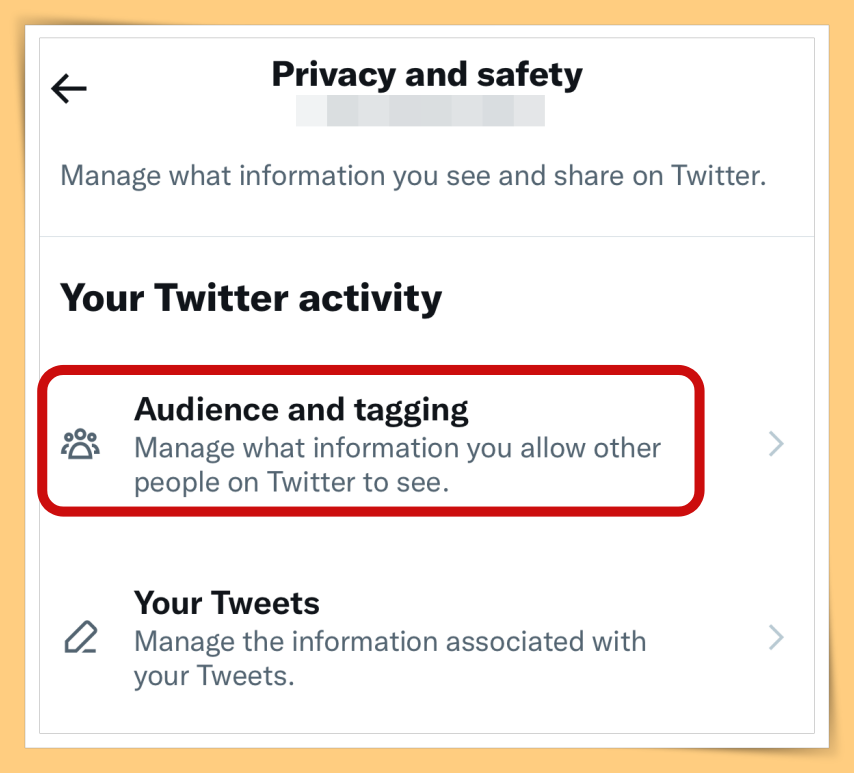 Audience and tagging
