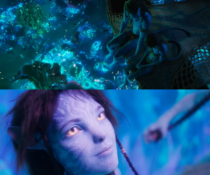 《Avatar 2》最新预告