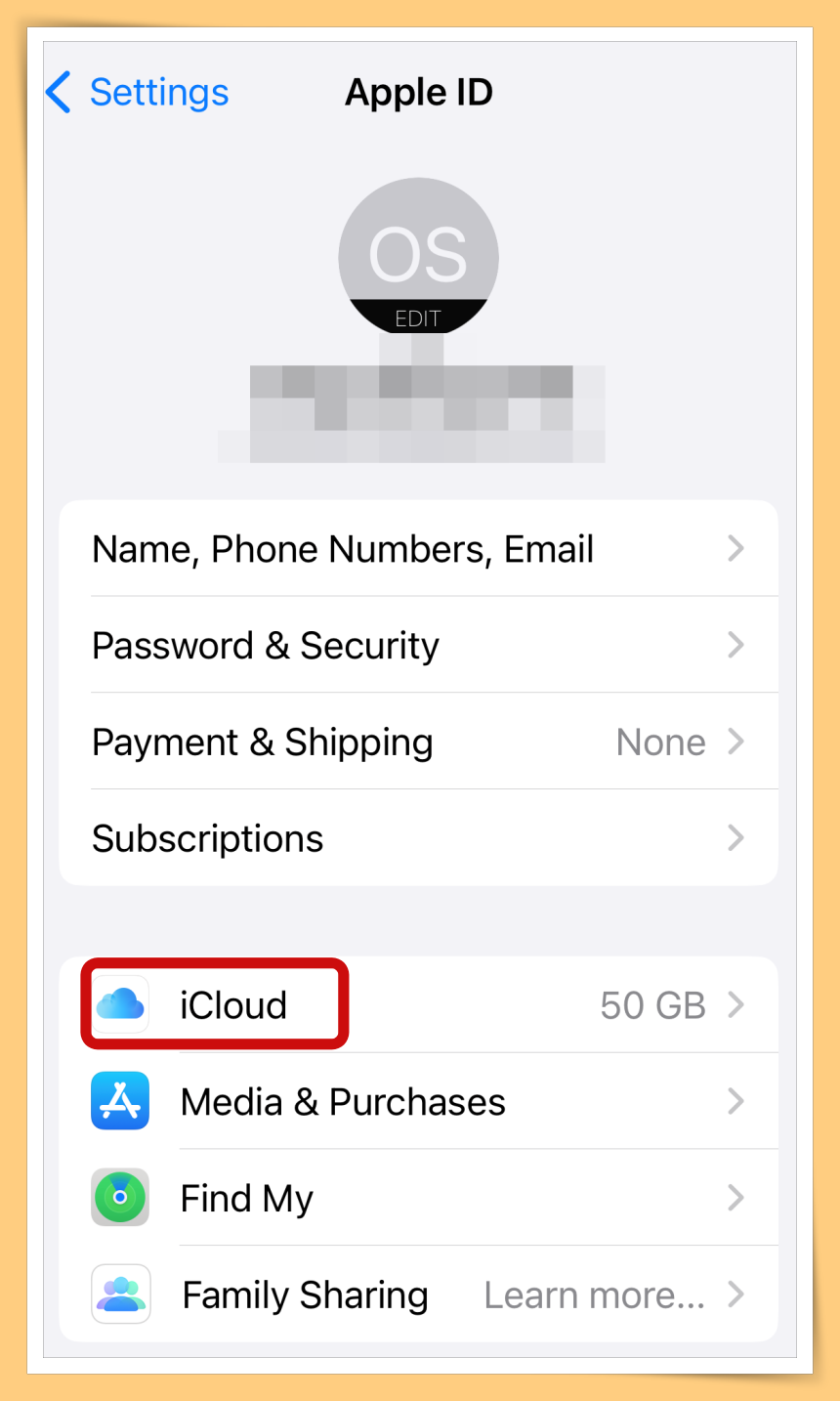 Click iCloud