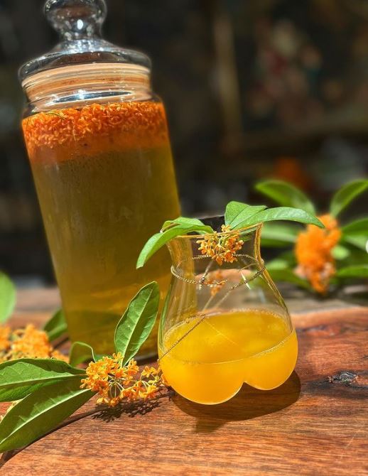 osmanthus orange Ben Fiddich