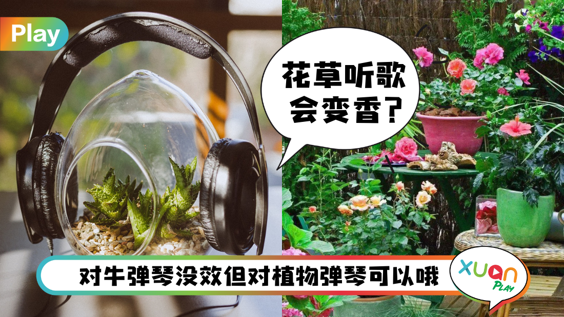 play-music-with-plants.png