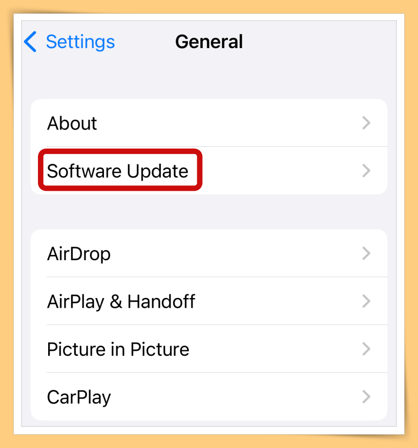 iOS 16.1.1 Click on Software Update