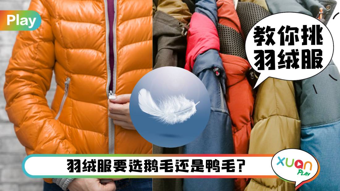 tips-for-feather-down-jacket.jpg