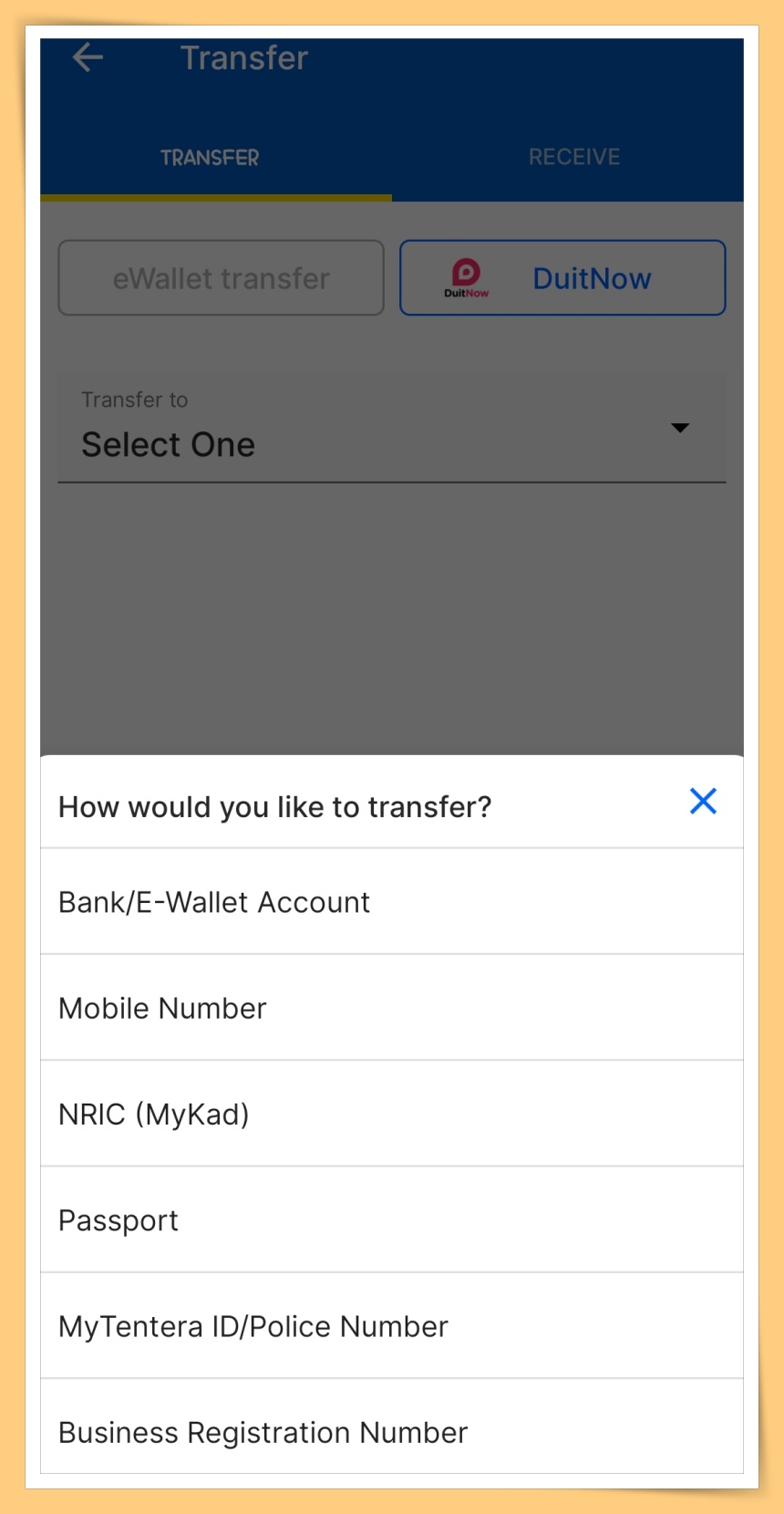 TNG eWallet Fill in Details