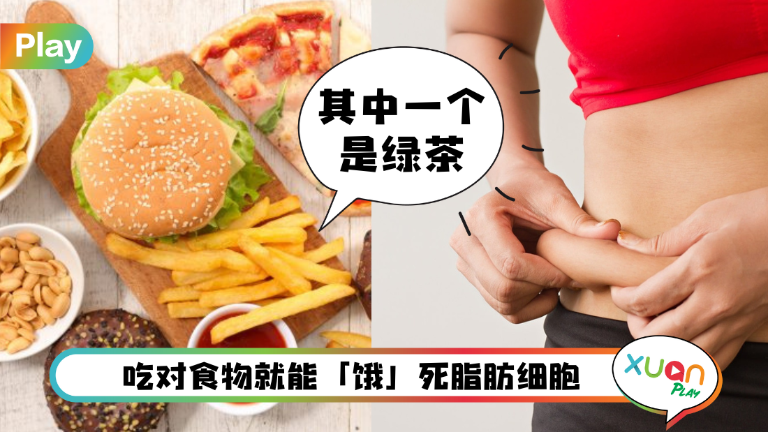 too-fat.png