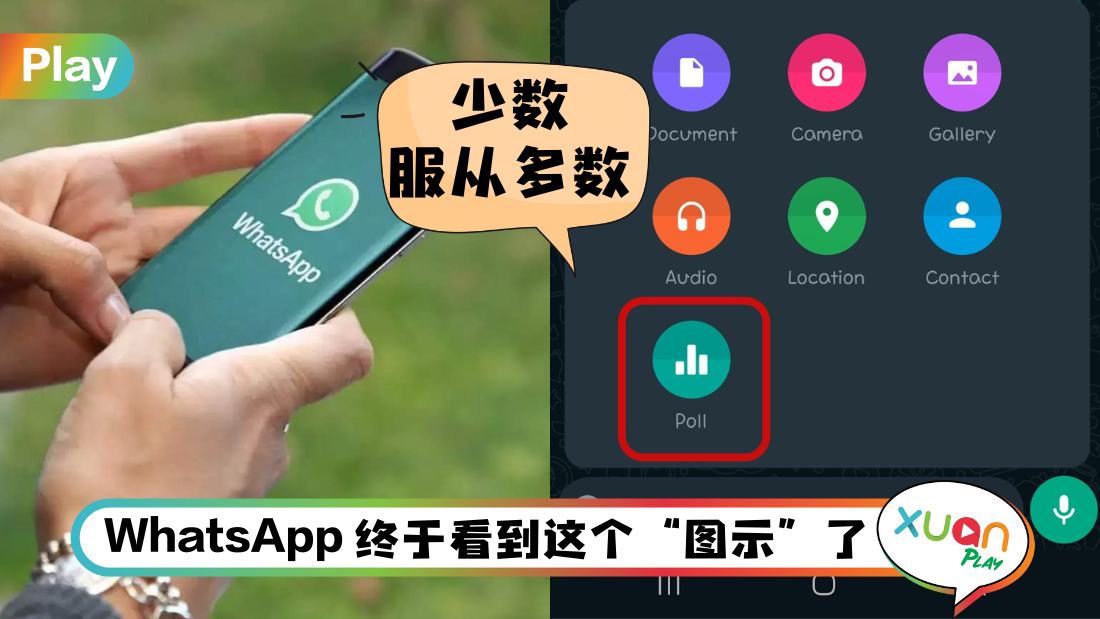 whatsapp-poll_1.png