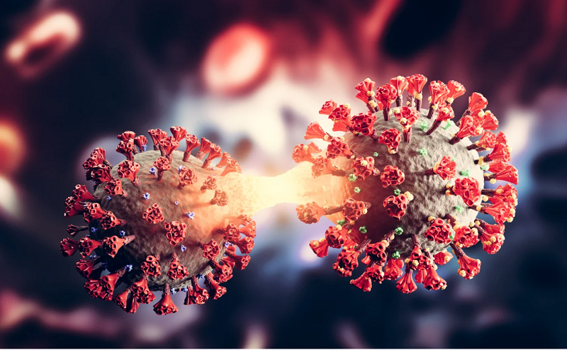 XBB Virus