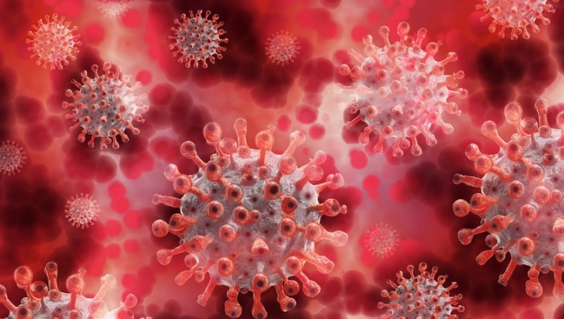 XBB Virus Coming