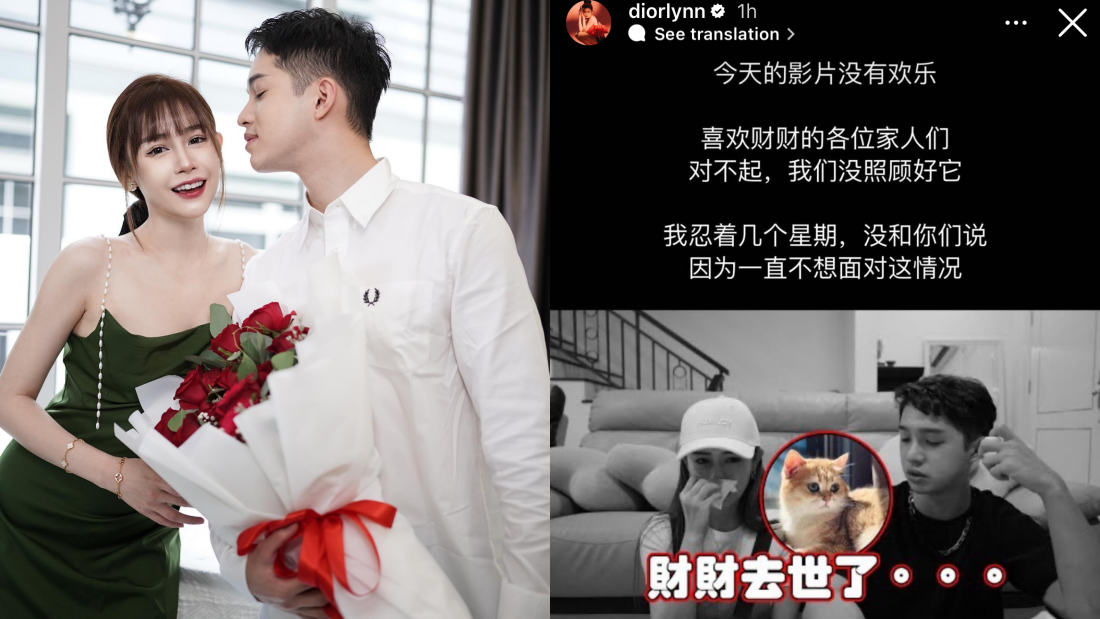 Diorlynn 、达达爱猫离世