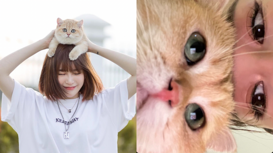 Diorlynn 与爱猫