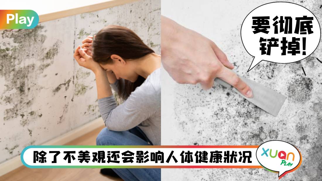 how-to-clean-wall-mould.jpg