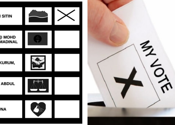 教导长辈如何投票