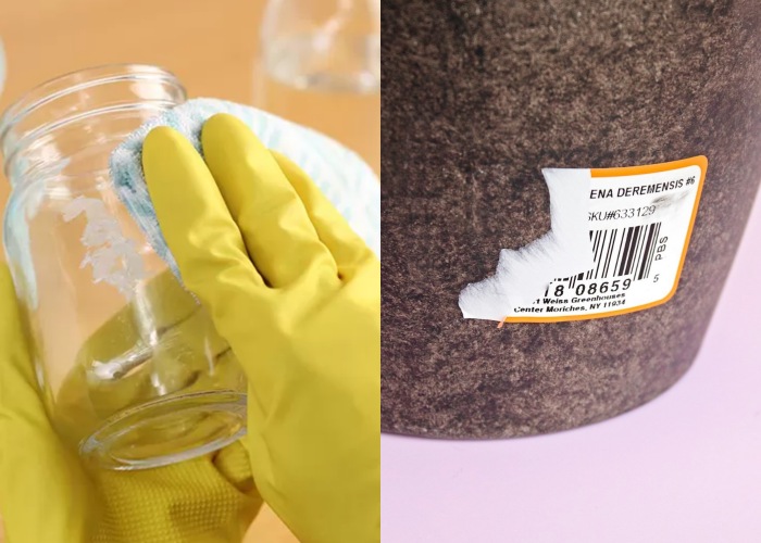 帮助贴纸轻松脱落的方法