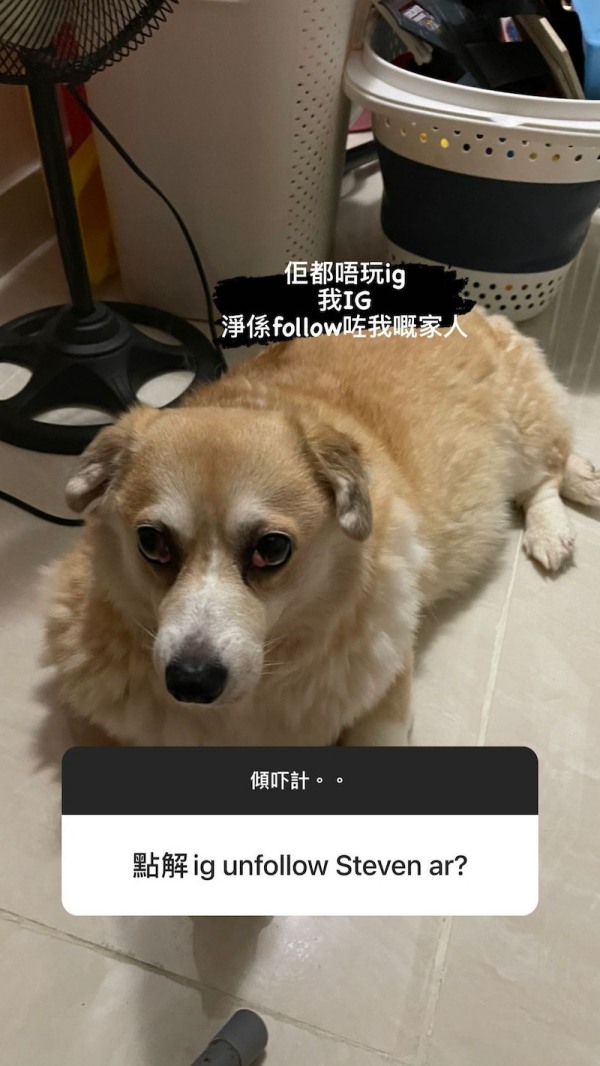雯雯IG取关张致恒