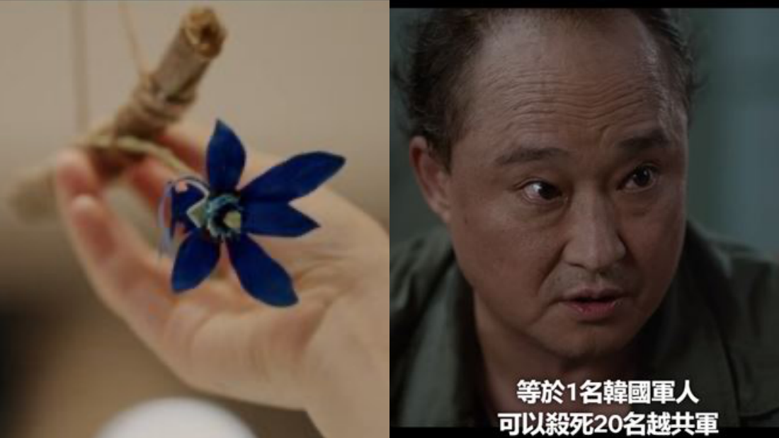 小妇人幽灵兰花争议