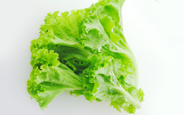 生菜