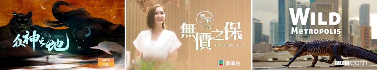 大自然主题的纪录片