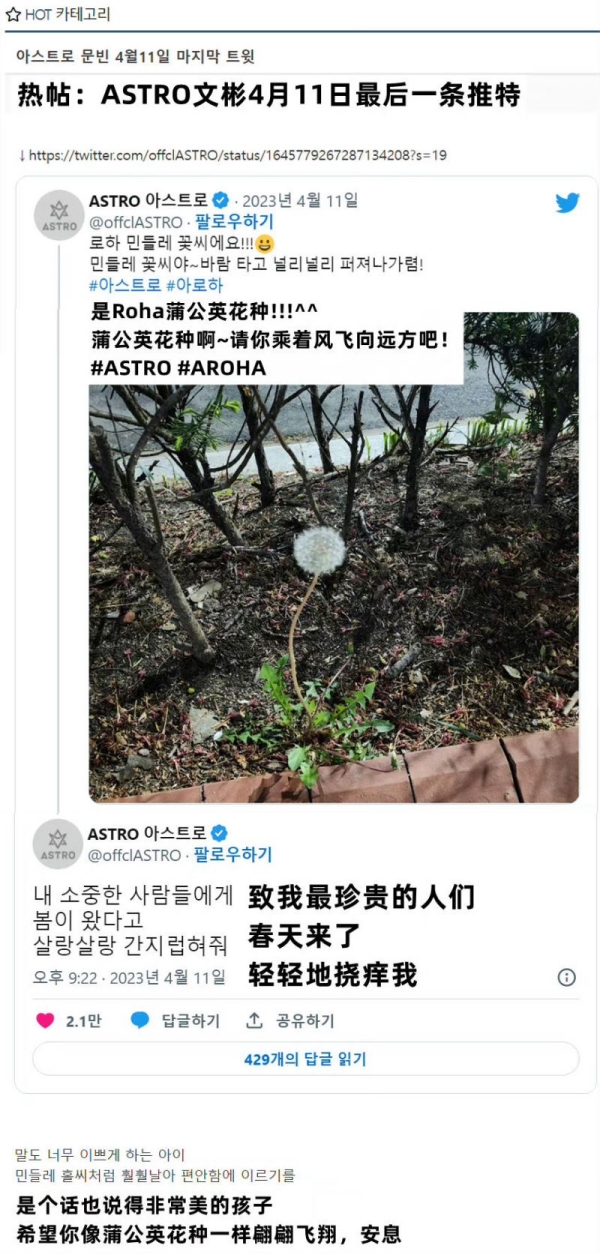 杨紫琼拿小金人见安华