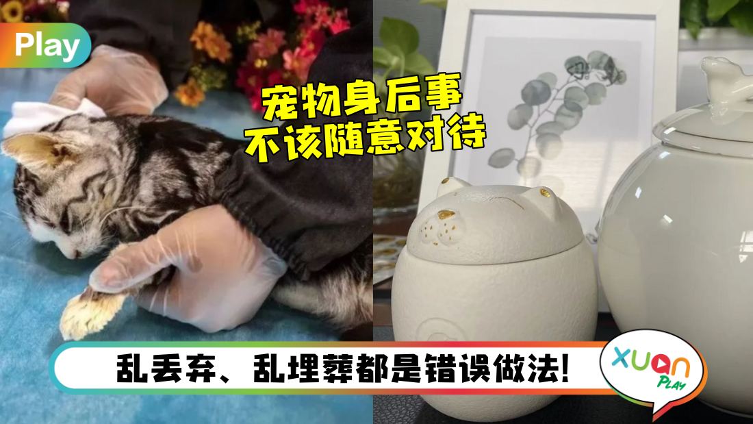 pet-funeral.jpg