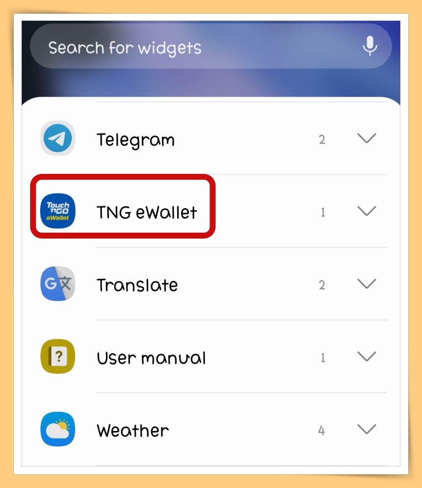 TNG eWallet