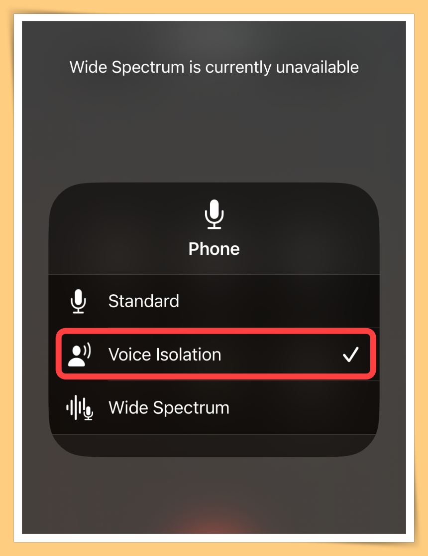 Choose Voice Isolation