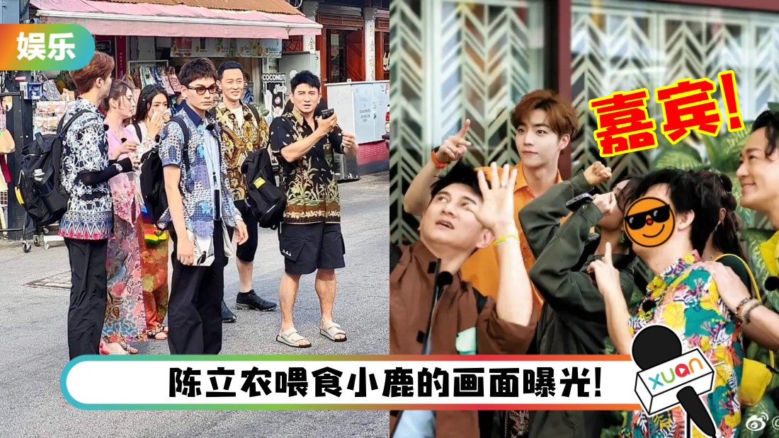 xingxing-title_1.png