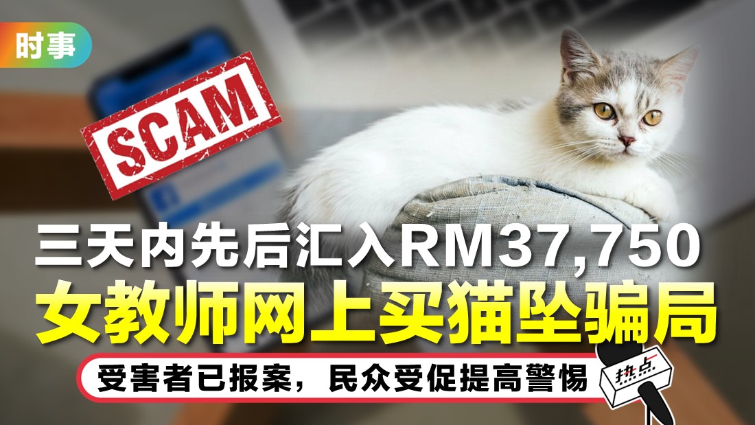 0828-tn-cat_1.jpg