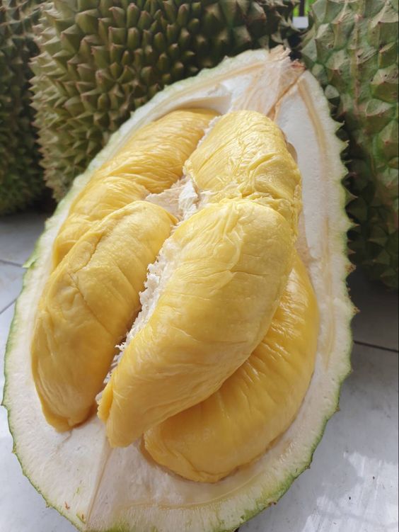musang king