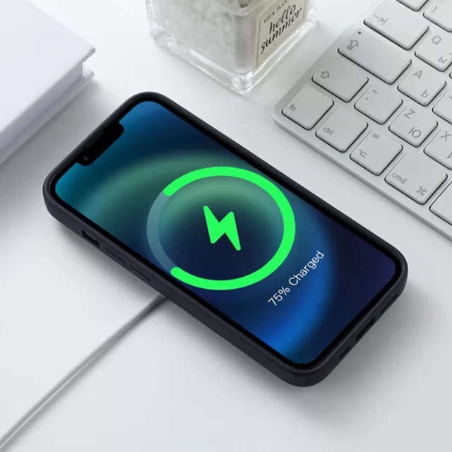 iPhone Battery