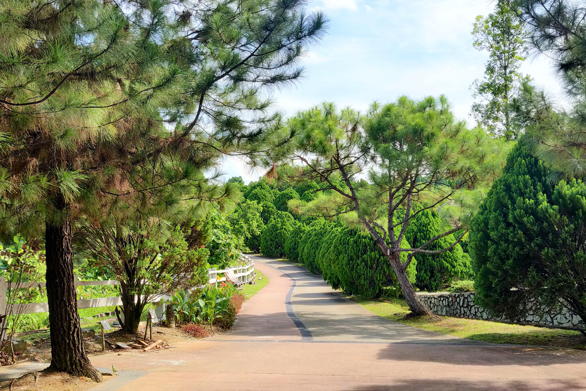 Taman Saujana Hijau
