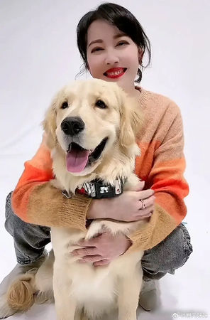周海媚爱犬