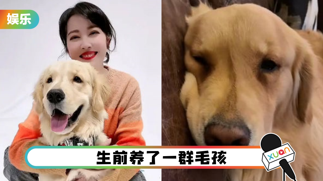 zhouhaimei-main.png