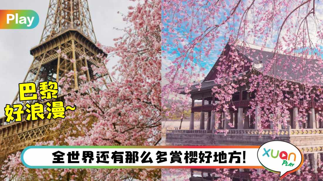 blossom-country.jpg