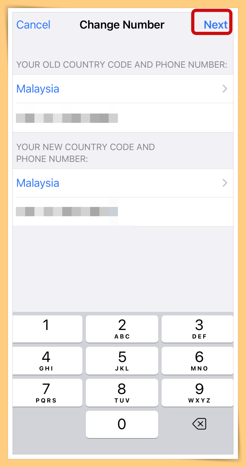 Fill in Number Details