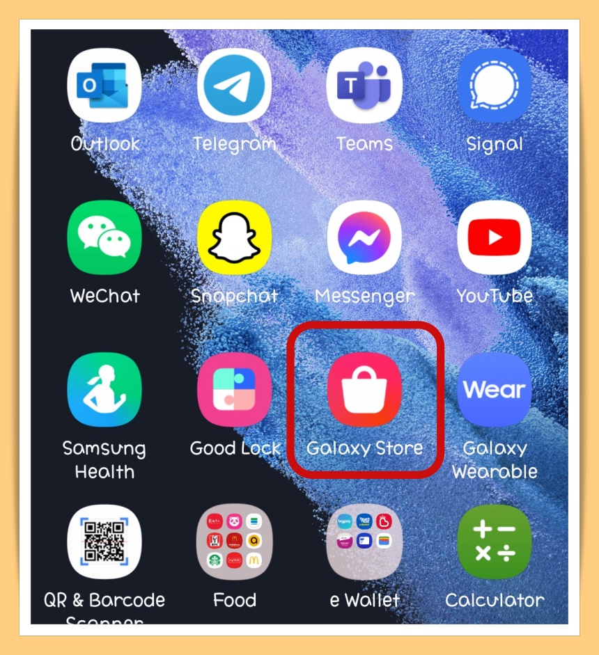 Galaxy Store