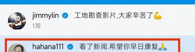 刘荷娜留言关心林志颖