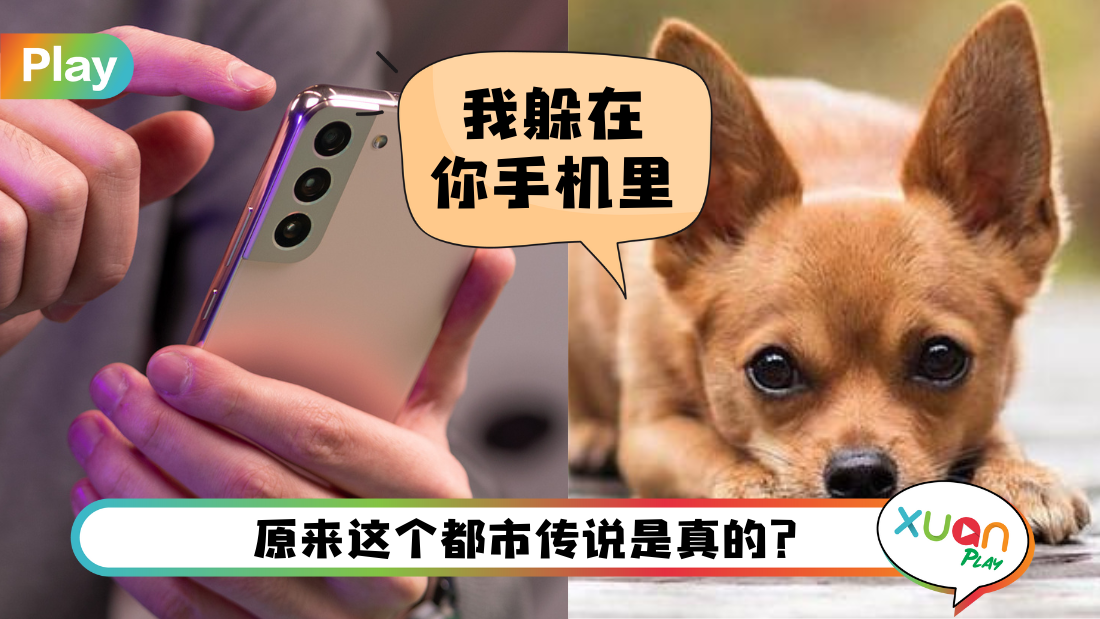 samsung-dog-picture.png