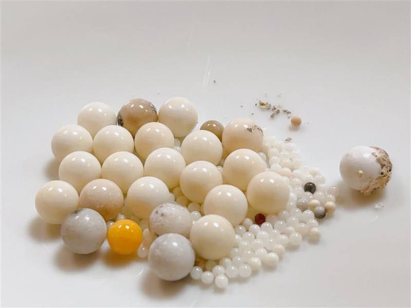 星云大师留下的舍利子