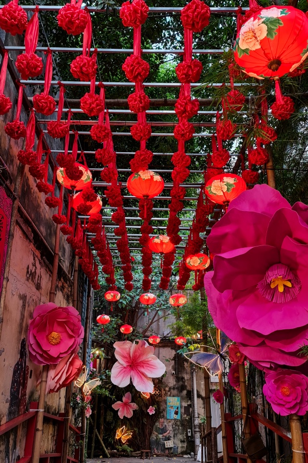 Blooming Flowers over the bridge