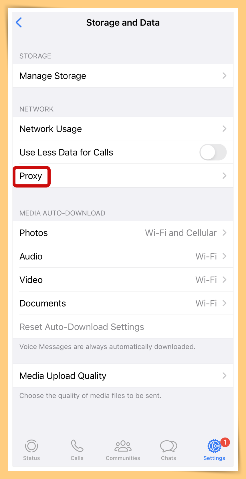 Proxy