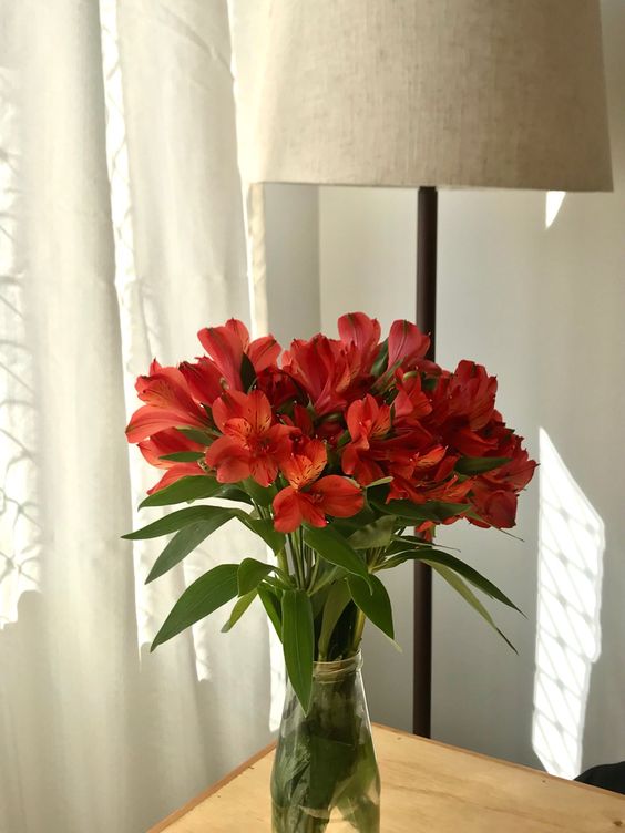 人缘桃花要放红花