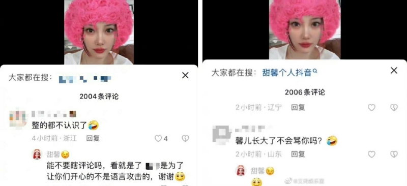 甜馨回呛酸民
