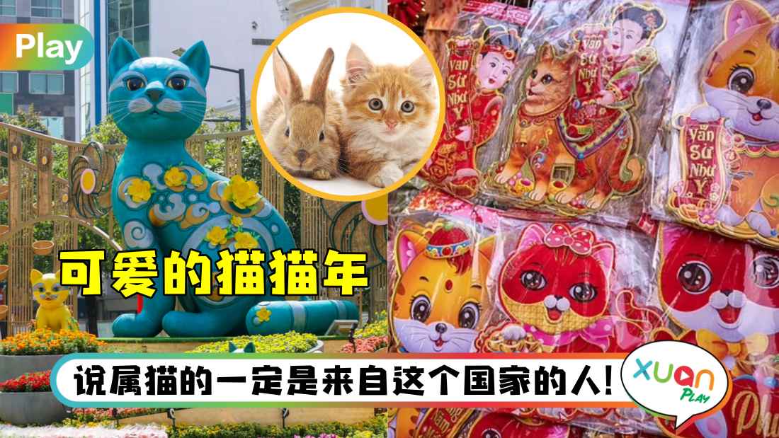 vietnam-celebrate-cat-year.jpg